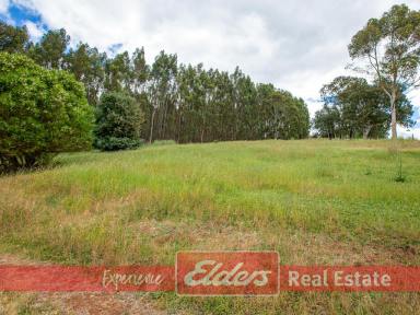 Farm Sold - WA - Southampton - 6253 - 48 hectares just minutes drive from vibrant Balingup. Build your dream home here.  (Image 2)