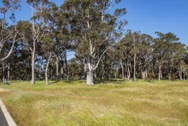 Farm Sold - WA - Cowaramup - 6284 - HUGE VACANT BLOCK IN COWTOWN  (Image 2)