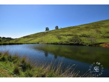 Farm Sold - SA - Cudlee Creek - 5232 - Immense in Opportunity and Diversity; Spectacular by Nature  (Image 2)