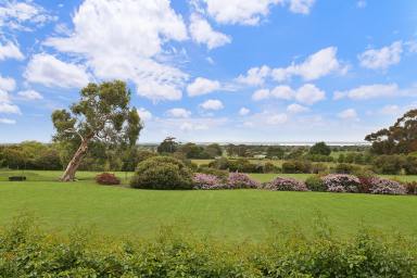 Farm Sold - VIC - Camperdown - 3260 - Private Rural Setting  (Image 2)