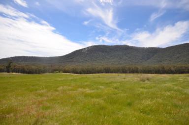 Farm For Sale - VIC - Buangor - 3375 - 137.46HA (339.67 Acres) - Remarkable Views In A Most Relaxed Setting  (Image 2)