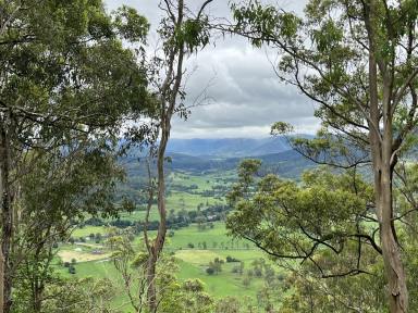 Farm Sold - NSW - Kyogle - 2474 - ONE NOT TO MISS  (Image 2)