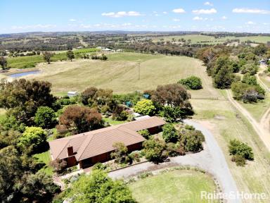 Farm Sold - NSW - Young - 2594 - BLOOMING MARVELLOUS!  (Image 2)