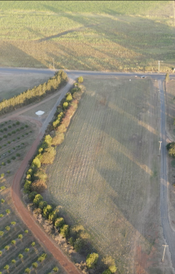 Farm Sold - QLD - Gooburrum - 4670 - Looking for the acreage lifestyle?  (Image 2)