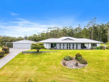 Farm Sold - NSW - Talarm - 2447 - Panoramic Views and a Commanding Presence...  (Image 2)