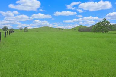 Farm Sold - NSW - Casino - 2470 - OFFER ACCEPTED - 712 ACRES CLOSE TO CASINO  (Image 2)