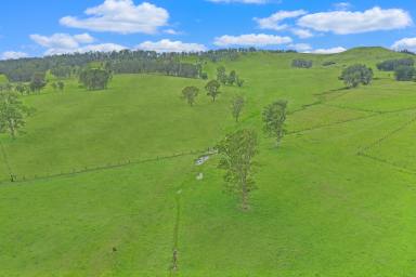 Farm Sold - NSW - Casino - 2470 - OFFER ACCEPTED - 712 ACRES CLOSE TO CASINO  (Image 2)