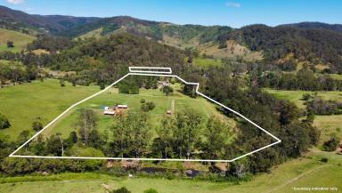Farm For Sale - NSW - Byabarra - 2446 - River frontage - Thone River - Solid double brick home - Mature food forest & excellent fresh water supply  (Image 2)