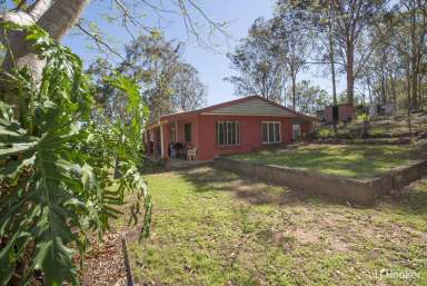 Farm Sold - QLD - Grandchester - 4340 - ELEVATED HOME AMONGST THE TREES  (Image 2)