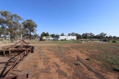 Farm Sold - NSW - Temora - 2666 - Take Advantage of Main Road Frontage!  (Image 2)