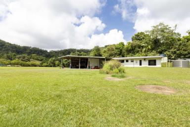 Farm Sold - QLD - Whyanbeel - 4873 - FRESHWATER STREAM IS YOUR PRIVATE PROPERTY BOUNDARY  (Image 2)