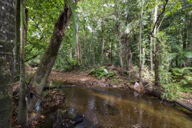 Farm Sold - QLD - Whyanbeel - 4873 - FRESHWATER STREAM IS YOUR PRIVATE PROPERTY BOUNDARY  (Image 2)