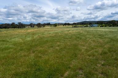 Farm Sold - NSW - Molong - 2866 - Beautiful Block in Molong's Prestige Estate  (Image 2)