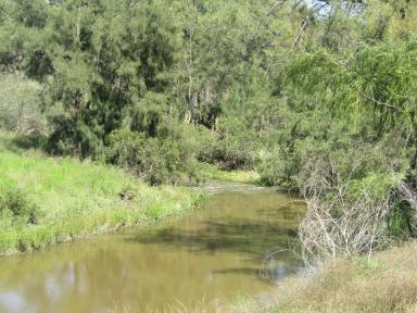 Farm Sold - NSW - Inverell - 2360 - Build your Dream Home on Pictersque 70acres  (Image 2)