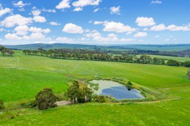Farm Sold - VIC - Cooriemungle - 3268 - Forever Views  (Image 2)
