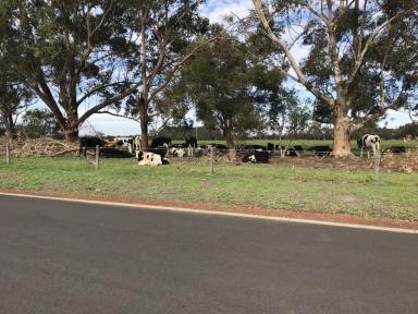 Farm Sold - WA - Ambergate - 6280 - ALL OFFERS - Rare Rural Living with on-site Cottage and shed  (Image 2)