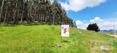 Farm Sold - TAS - Staverton - 7306 - A Place To See Everything - 360 Degree Opportunity - Under Contract  (Image 2)