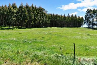 Farm Sold - TAS - Staverton - 7306 - A Place To See Everything - 360 Degree Opportunity - Under Contract  (Image 2)