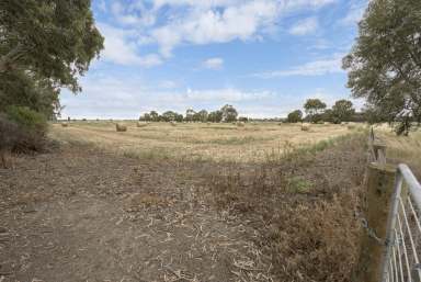 Farm Sold - VIC - Tyntynder - 3586 - A LIFESTYLE OF DREAMS  (Image 2)