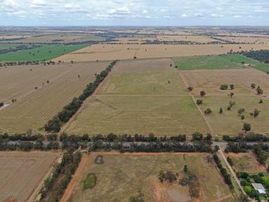 Farm Sold - NSW - Temora - 2666 - Rare 108 Acre Property With Building Entitlement  (Image 2)