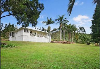 Farm Sold - QLD - Dagun - 4570 - OUTSTANDING PROPERTY UP FOR GRABS  (Image 2)