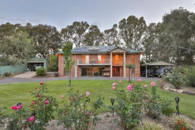 Farm Sold - NSW - Buronga - 2739 - Stunning Water Front Property  (Image 2)