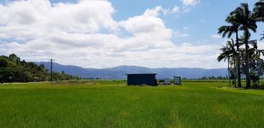 Farm Sold - QLD - Carruchan - 4816 - Vacant rural block with lovely mountain views  (Image 2)