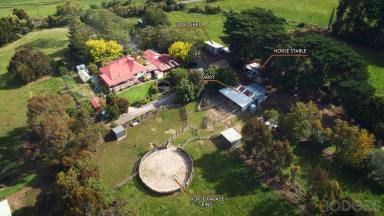 Farm For Sale - VIC - Ruby - 3953 - COUNTRY LIVING  (Image 2)