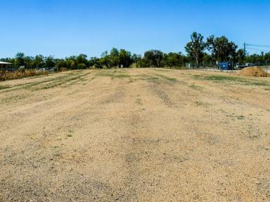 Farm For Sale - NSW - Moree - 2400 - Ready to Go - Greenbah Light Industrial  (Image 2)