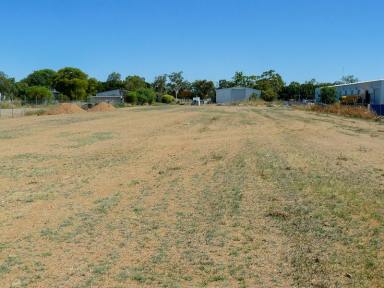 Farm For Sale - NSW - Moree - 2400 - Ready to Go - Greenbah Light Industrial  (Image 2)