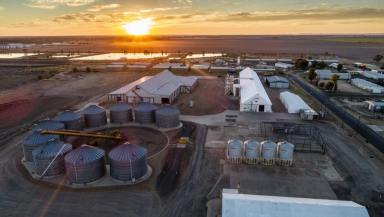 Farm For Sale - NSW - Moree - 2400 - Large Scale Grain Storage Facility  (Image 2)