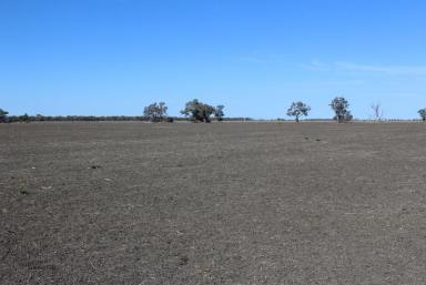 Farm For Sale - NSW - Moree - 2400 - Suburban Cropping  (Image 2)