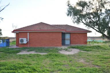 Farm Sold - NSW - Moree - 2400 - AFFORDABLE ACREAGE - A GREAT STARTER  (Image 2)