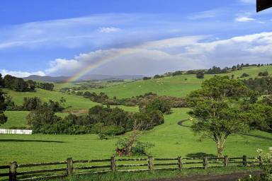 Farm For Sale - New South Wales - Dorrigo - 2453 - Mountain High with Magic Views  (Image 2)