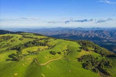 Farm For Sale - New South Wales - Dorrigo - 2453 - Mountain High with Magic Views  (Image 2)