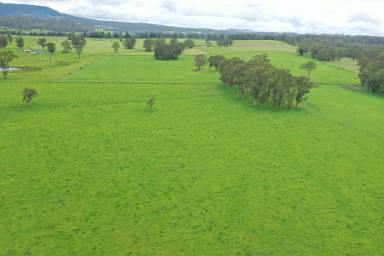 Farm Sold - NSW - Casino - 2470 - OFFER ACCEPTED - PRIME CATTLE COUNTRY  (Image 2)