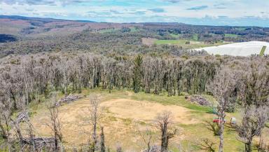 Farm For Sale - NSW - Batlow - 2730 - Beautiful Batlow Land  (Image 2)