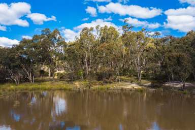 Farm Sold - NSW - Emmaville - 2371 - Emmaville Lifestyle 80 ha (200 ac) Lifestyle & substantial sand & gravel deposits  (Image 2)