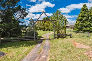 Farm Sold - NSW - Shannon Vale - 2370 - Mann River masterpiece  (Image 2)