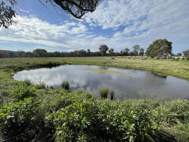 Farm Sold - NSW - Stannum - 2371 - "Wisteria Park" Unfinished project.  (Image 2)