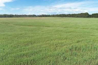 Farm Sold - VIC - Bungador - 3260 - HIGH CALIBRE COLAC DISTRICT COUNTRY  (Image 2)