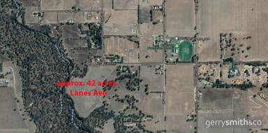 Farm Sold - VIC - Horsham - 3400 - WIMMERA RIVER FRONTAGE - QUANTONG  (Image 2)
