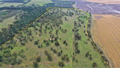 Farm Sold - NSW - Quirindi - 2343 - 247 ACRE WARRAH RIDGE BLOCK  (Image 2)