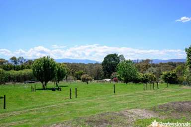 Farm Sold - VIC - Hoddles Creek - 3139 - THE CANVAS IS YOURS!  (Image 2)