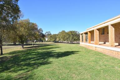 Farm Sold - NSW - Moree - 2400 - WHEN SIZE MATTERS!  (Image 2)
