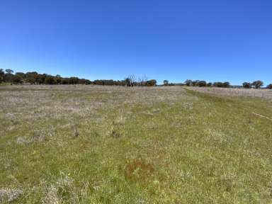 Farm Sold - NSW - Bendemeer - 2355 - Affordable 611 Acres of Lifestyle and Farming  (Image 2)