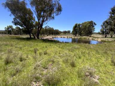 Farm Sold - NSW - Bendemeer - 2355 - Affordable 611 Acres of Lifestyle and Farming  (Image 2)