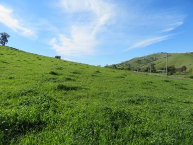 Farm Sold - NSW - Gundagai - 2722 - Only Minutes from Town  (Image 2)