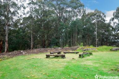 Farm Sold - VIC - Three Bridges - 3797 - GET AWAY FROM IT ALL – 123 ACRES (APPROX.)  (Image 2)