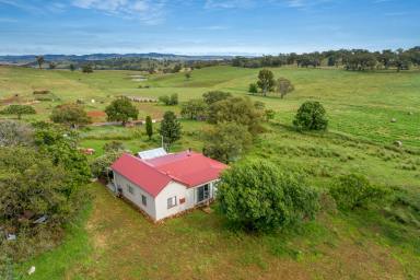 Farm Sold - NSW - Manildra - 2865 - Tucked Down a Country Laneway  (Image 2)